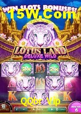 Apostas de Tênis QQbr Vip